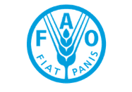 Partner 30