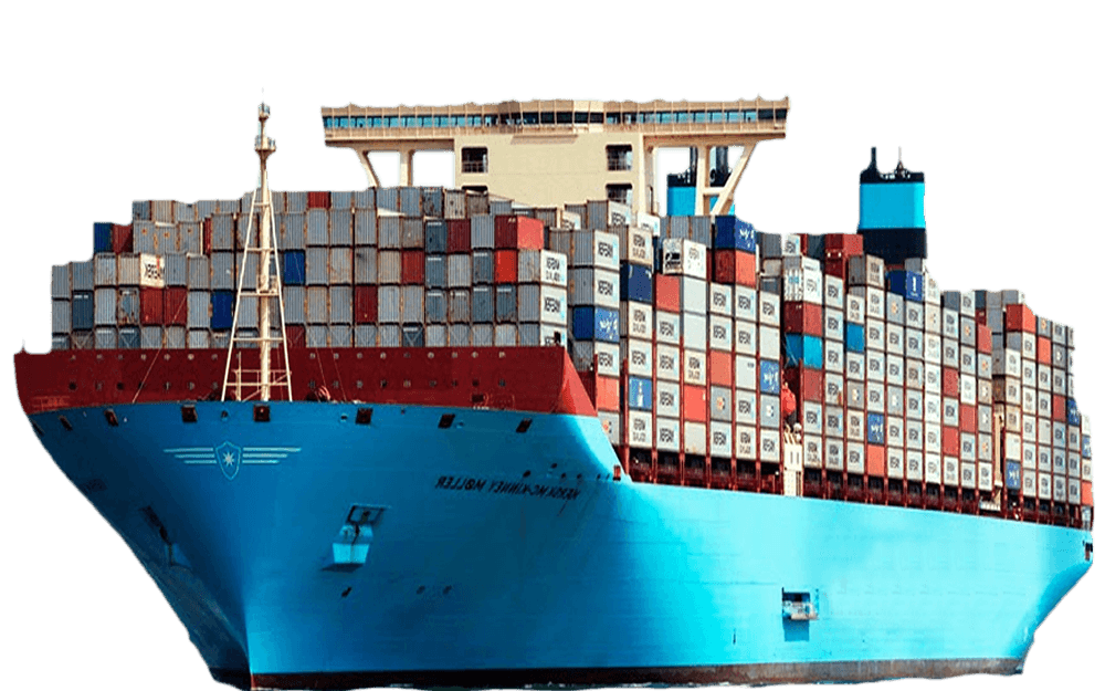 Activités d'Exportation