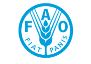 Partner 30