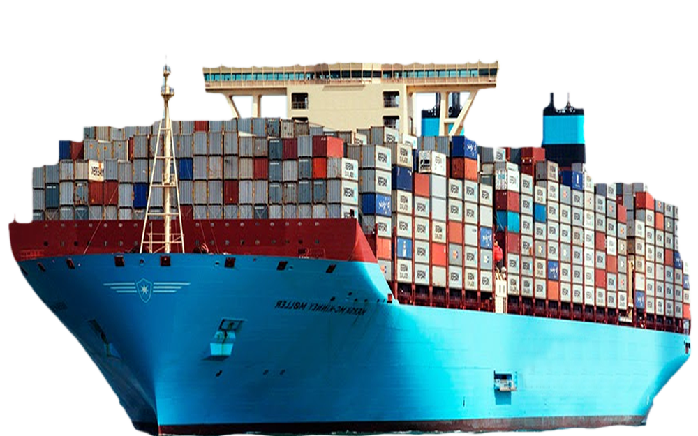 Activités d'Exportation